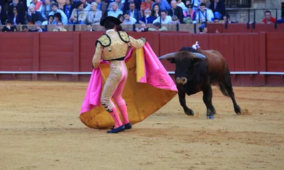 Gordijnen Bull fight at Seville © Alan Reed