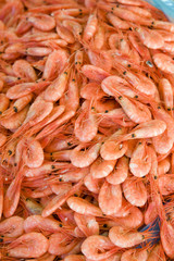 prawns