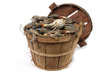bushel basket of crabs 3