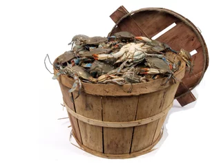 Foto auf Leinwand bushel basket of crabs 3 © tdoes