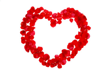 Rose petals in a shape of a heart