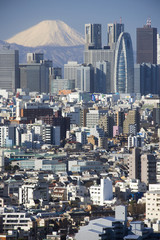 Fototapeta na wymiar Wieżowce Shinjuku i Mount Fuji