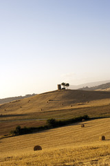 Obraz premium tuscany country