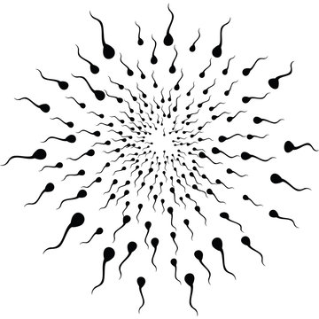 Sperms running to the egg