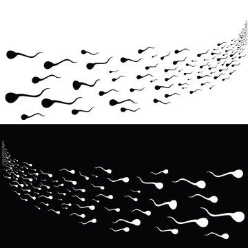 Sperms running somewhere