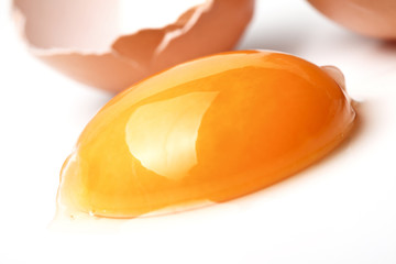 egg background