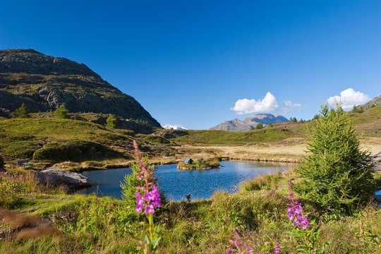 Simplonpass Bergsee Schweiz