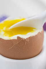 weich gekochtes Frühstücksei