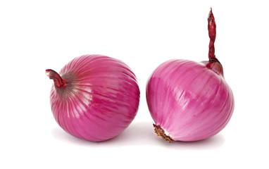 Onions  isolated on white background