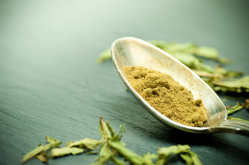 stevia sucre - stevia rebaudiana plante en poudre