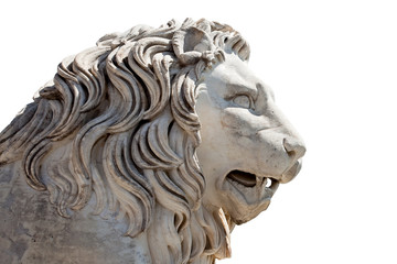Head of a Lion sculpture