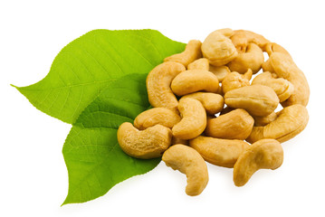 Cashew and green leaves