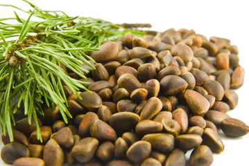 Cedar nuts and needles