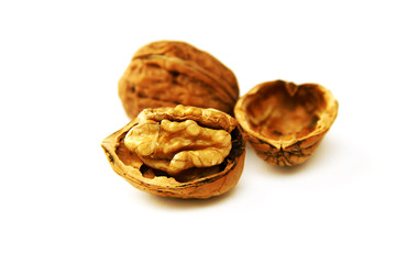 nut