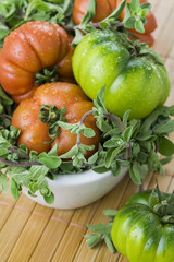 Italienische grüne und rote Strauchtomaten und frischer Majoran aus dem eigenen Garten 