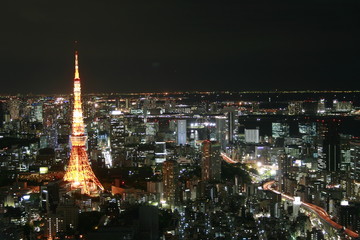 Obraz premium Tokyo Megacity at night