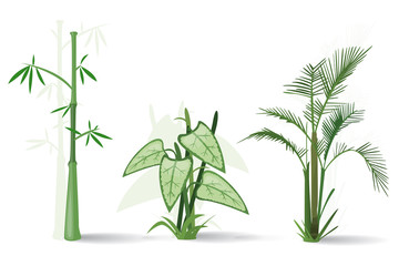 Plantes vertes vectorielles