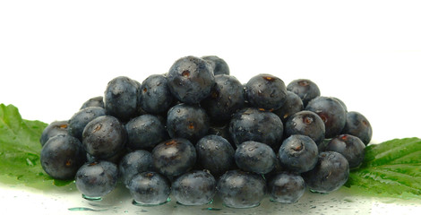 Blueberries