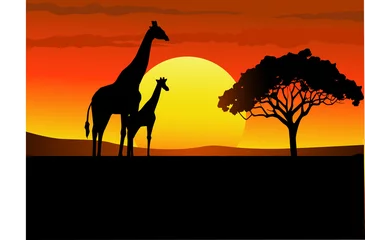 Peel and stick wall murals Zoo Sunset wildlife Africa