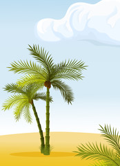 Fototapeta na wymiar two palm-tree