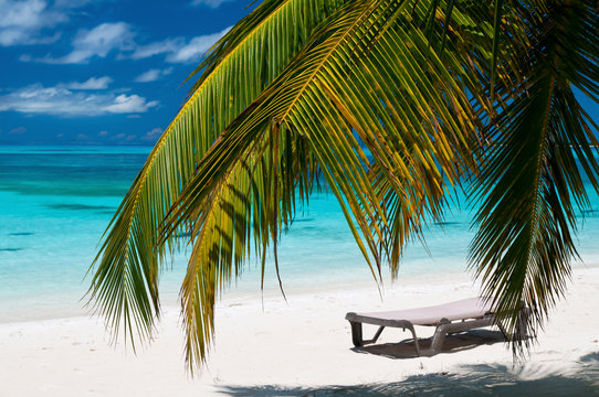 Strand mit Liegestuhl und Palmen
