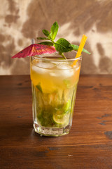 Mojito Rum Scuro - Cocktail