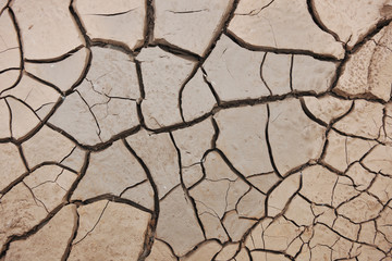 desert texture