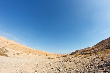 Desert landscape fisheye view