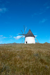 Windmill