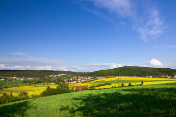 Obraz premium Spring landscape with a field of yellow rape and blue sky