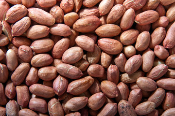 Obraz premium Peanuts