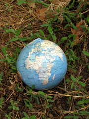 globe
