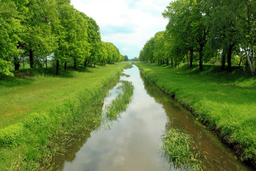 Fototapeta na wymiar kanał i zielone drzewa