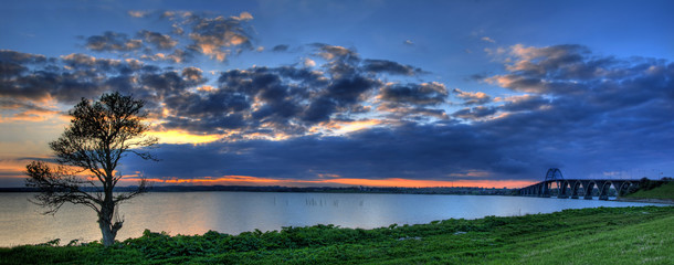 Obraz premium Tree against sunset Panorama