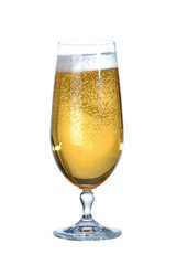 Glass of beer
