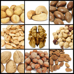 nuts collage