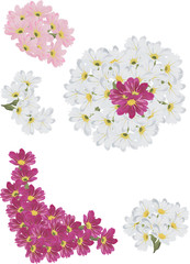 red, pink and white flowers collection