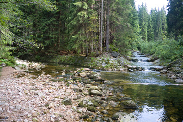 Zufluss der Labe