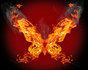 butterfly in orange flame