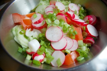 Salat mit Radieschen, Tomaten und Frühlingszwiebeln