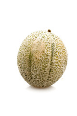 Cantaloupe