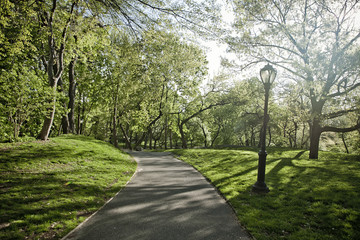 park