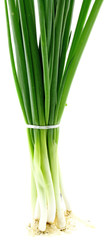 botte de feuilles d'échalote, ciboulette, fond blanc