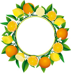 Ghirlanda di agrumi
