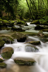 Riviere la Doria