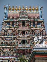 Hinduistischer Tempel in Chennai - obrazy, fototapety, plakaty