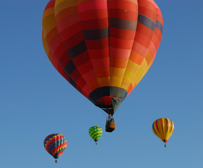 Fototapeta premium Hot Air Balloons