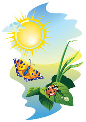 Sunrise landscape: flying butterfly and ladybug, vector