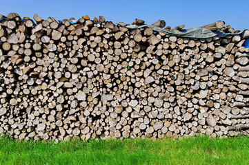 Tas de buches dans un champ.