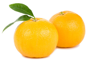 two ripe red grapefruits